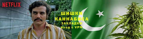 бошки Белокуриха