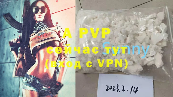 бошки Белокуриха